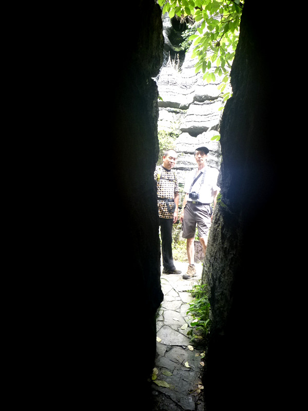 p1160180_.jpg