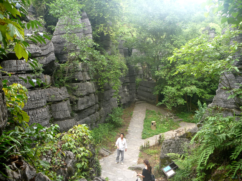 p1160178_.jpg
