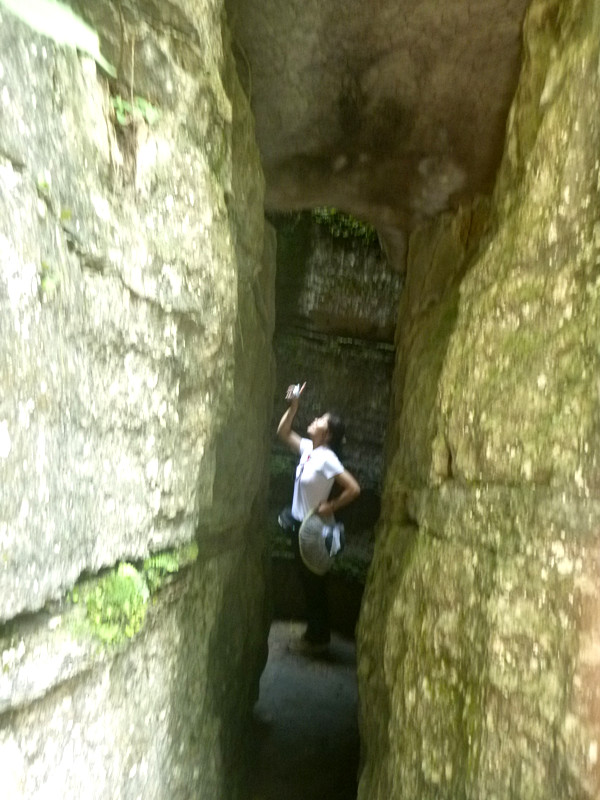 p1160184_.jpg