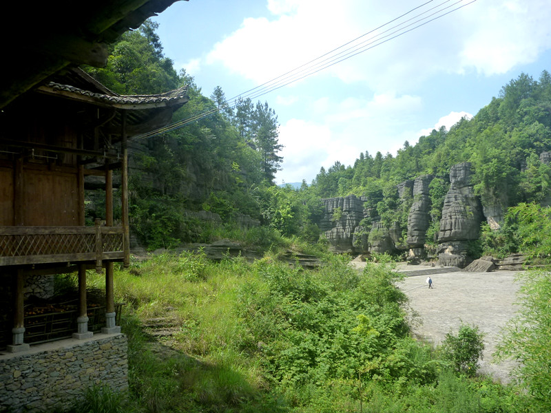 p1160197_.jpg