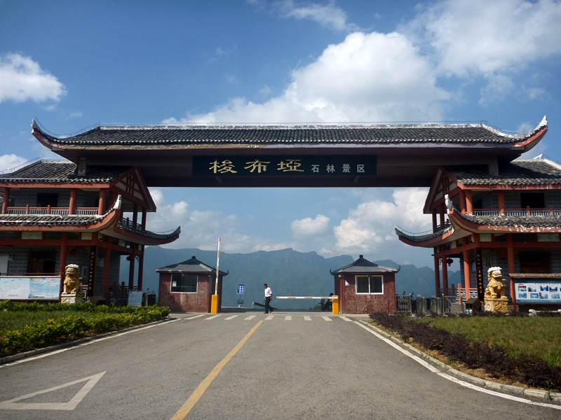 p1160198_.jpg