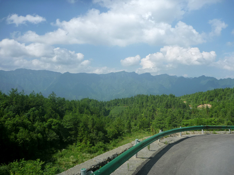p1160201_.jpg