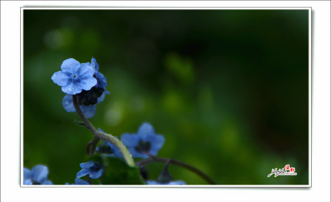 dsc_5665.jpg