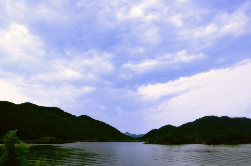 dsc_6460.jpg