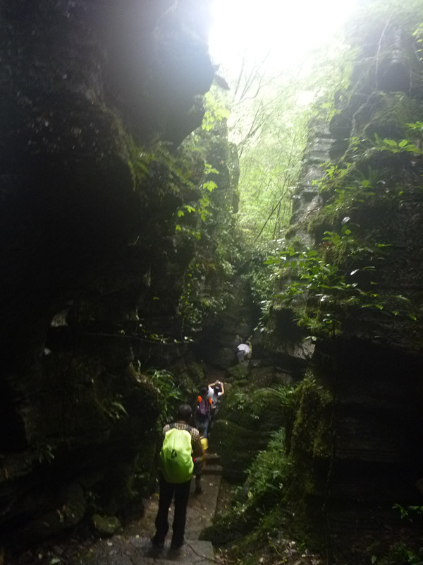p1160134_.jpg