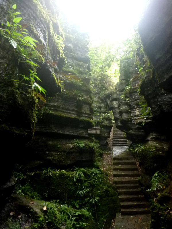 p1160138_.jpg