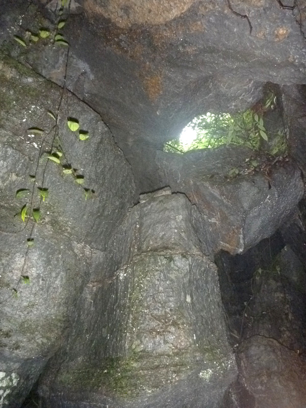 p1160137_.jpg