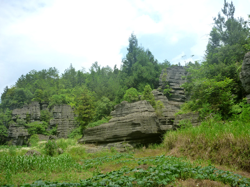 p1160148_.jpg