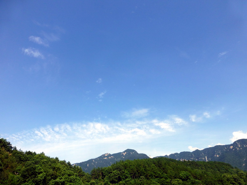 p1090548.jpg
