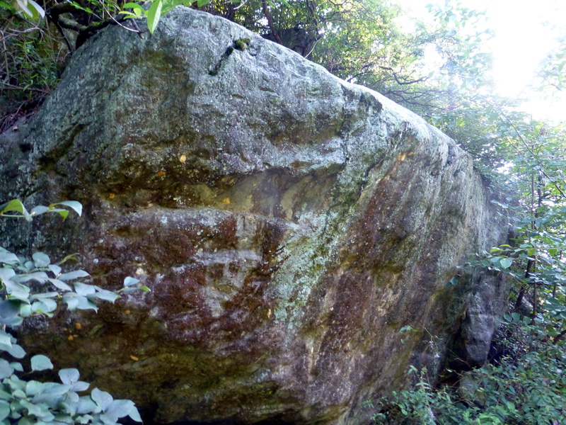 p1090559.jpg