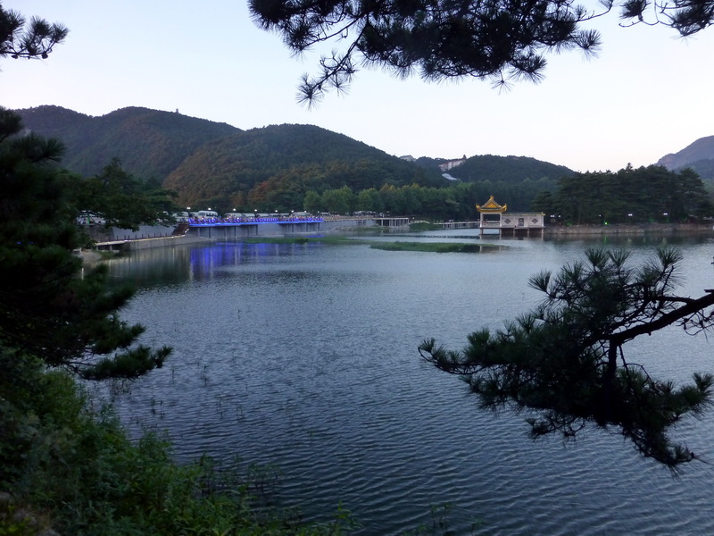 p1090595.jpg