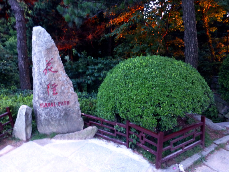 p1090596.jpg
