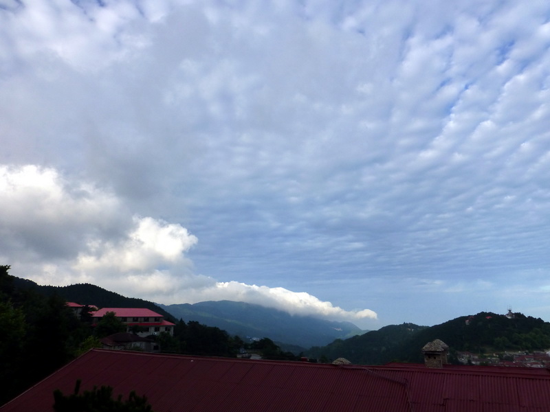 p1090616.jpg