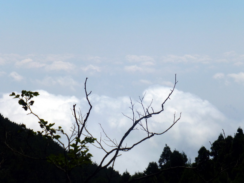 p1090657.jpg
