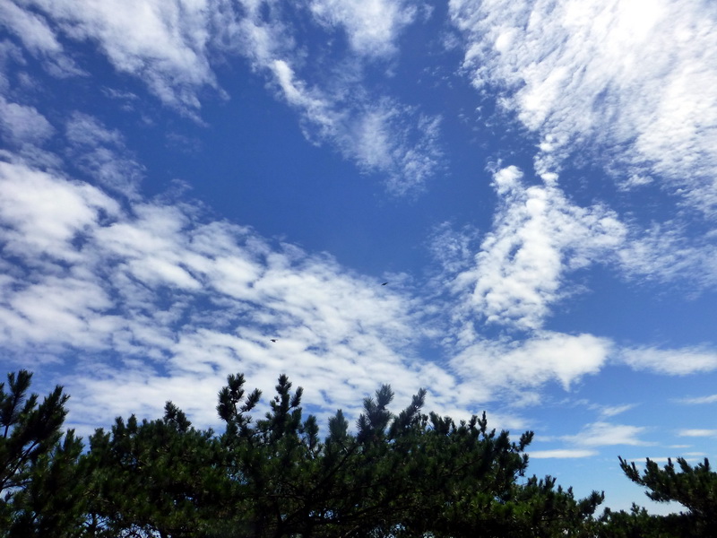p1090664.jpg