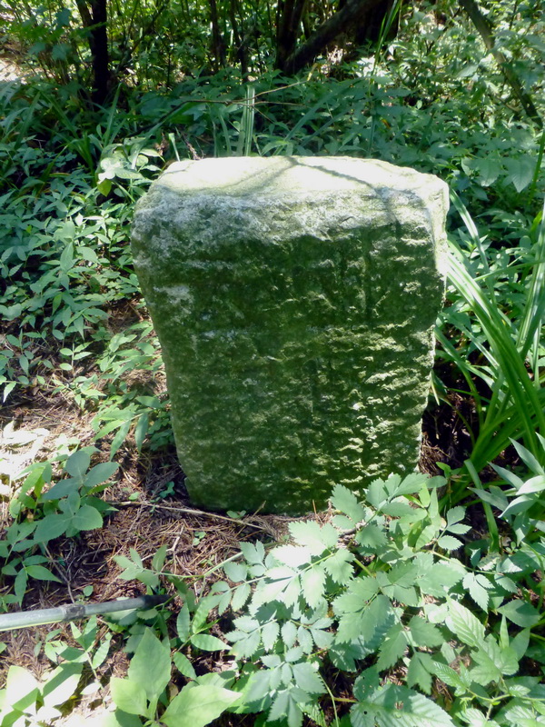 p1090674.jpg
