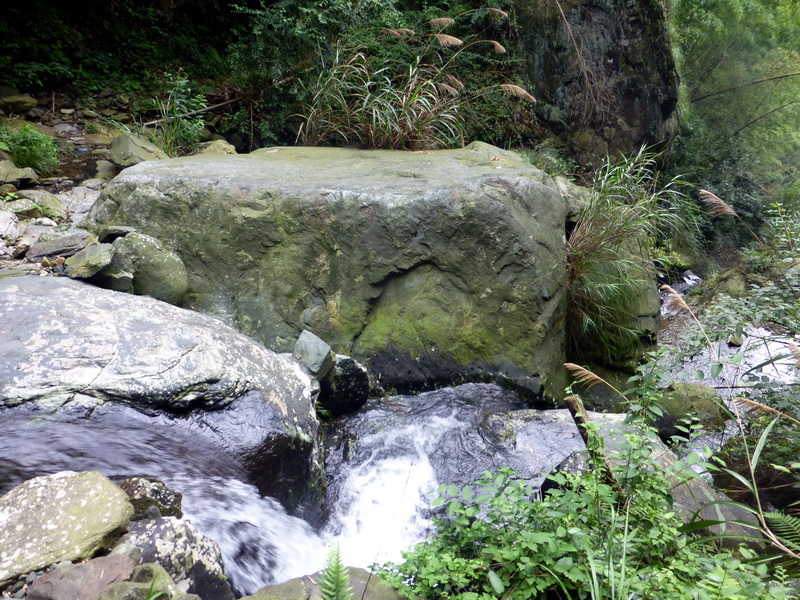 p1090693.jpg