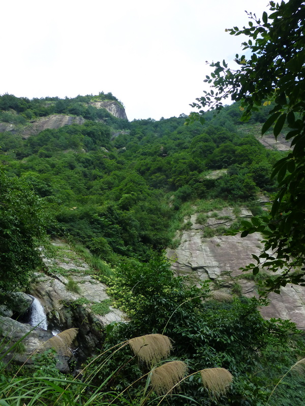 p1090697.jpg