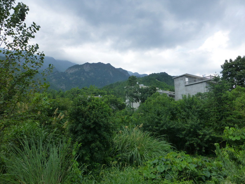 p1090721.jpg