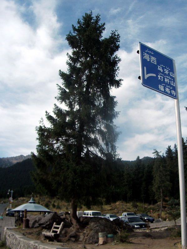 dscf0269.jpg