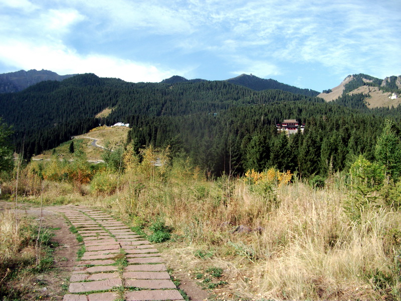 dscf0275.jpg