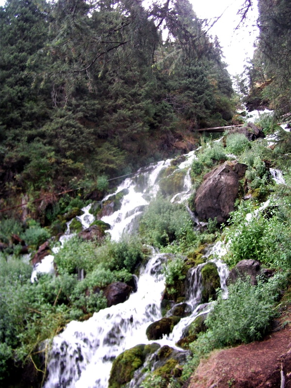 dscf0282.jpg