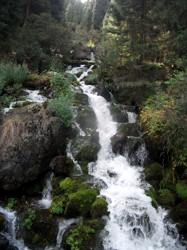 dscf0286.jpg