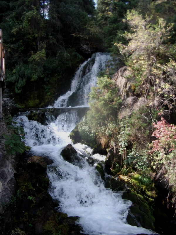 dscf0287.jpg