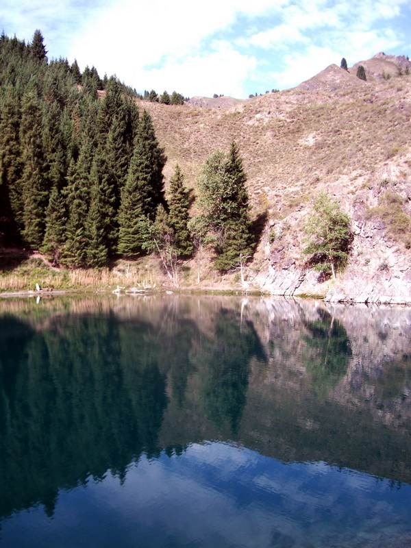 dscf0289.jpg
