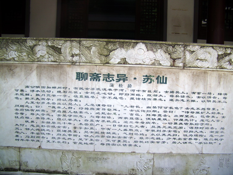 100_9951.jpg
