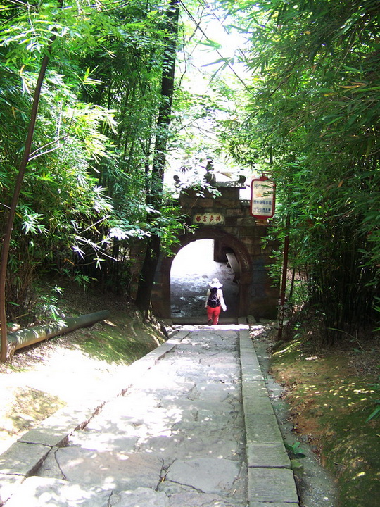 100_9942.jpg