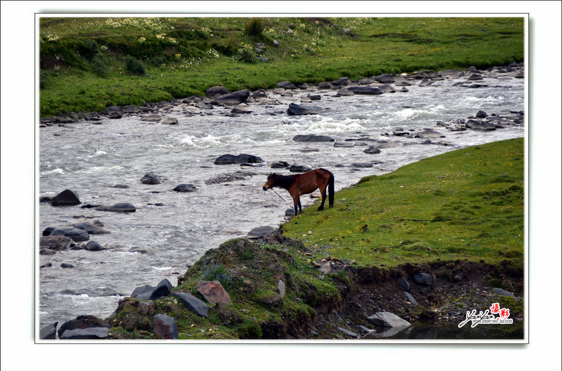 dsc_5817.jpg