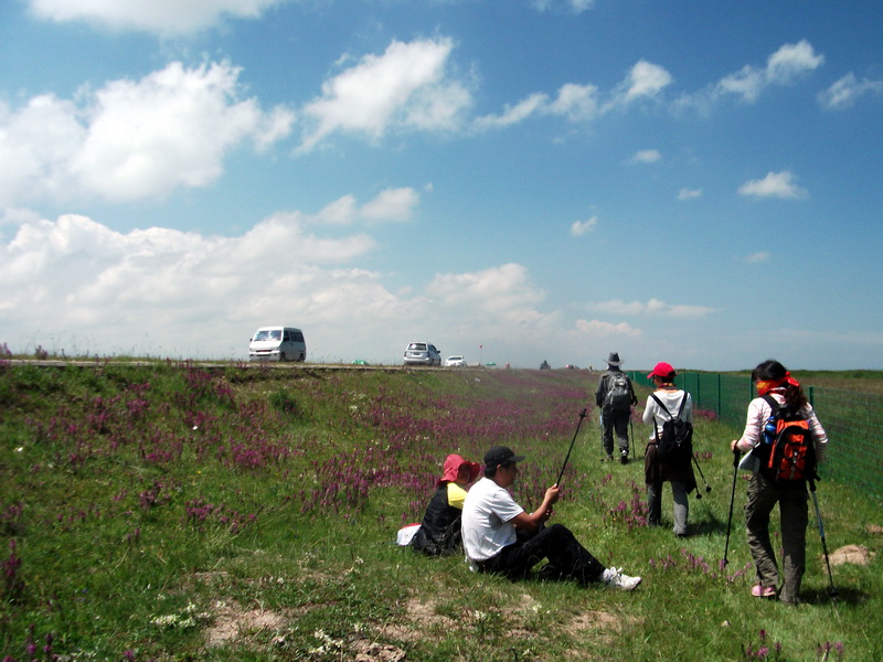 dscf0262.jpg