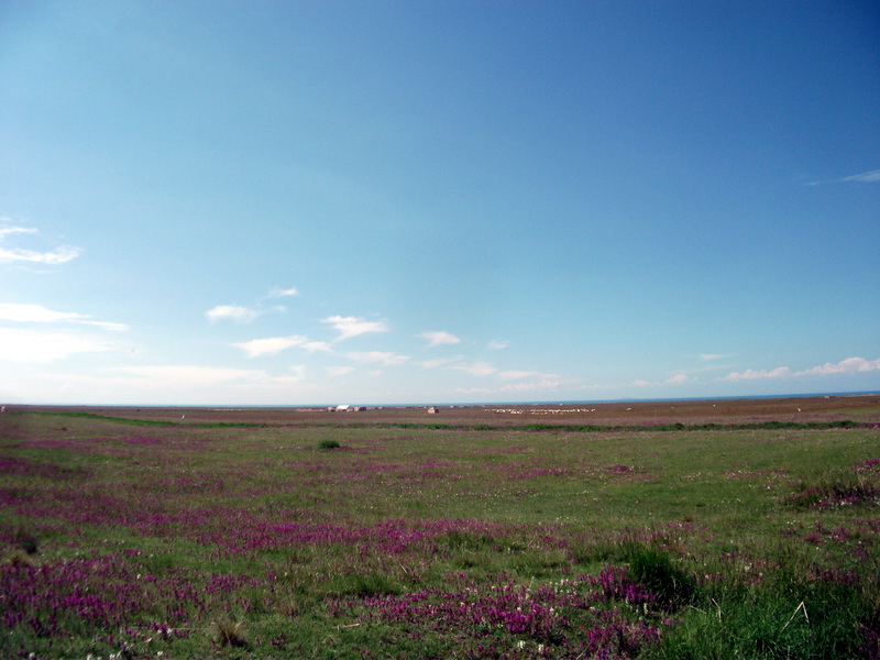 dscf0292.jpg