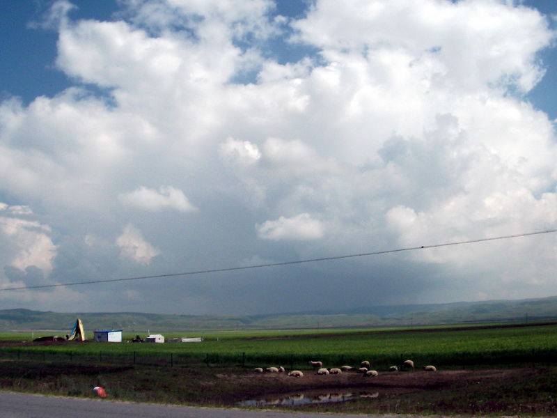 dscf0303.jpg