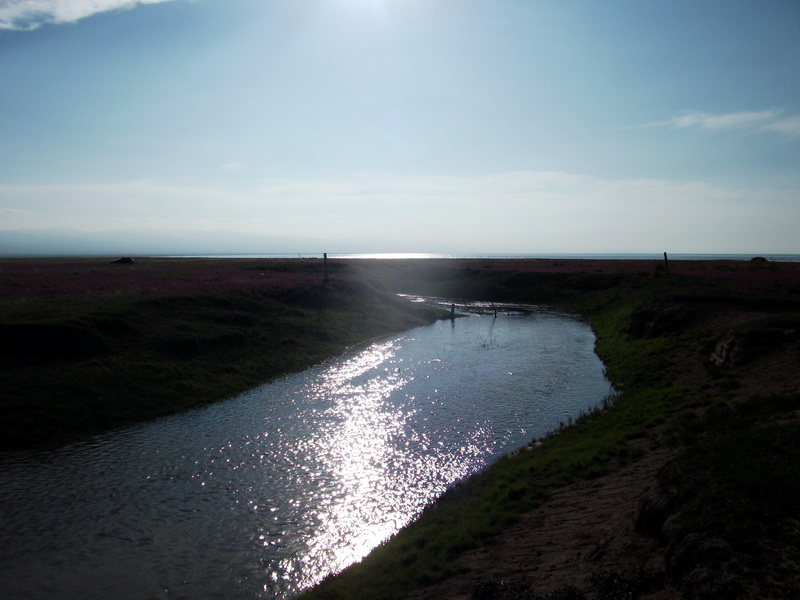 dscf0332.jpg