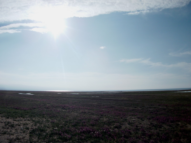 dscf0335.jpg