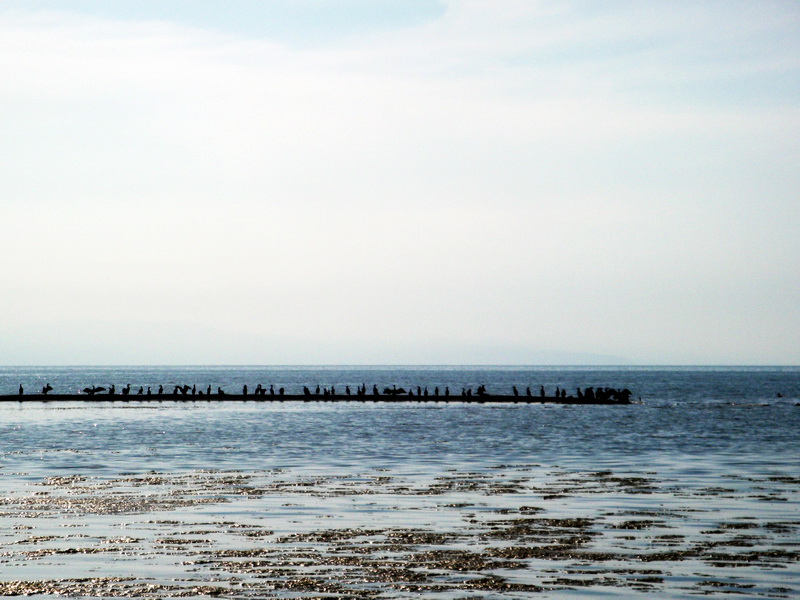 dscf0346.jpg