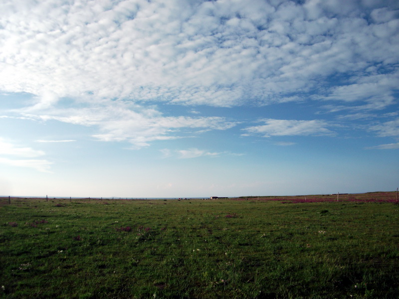 dscf0372.jpg