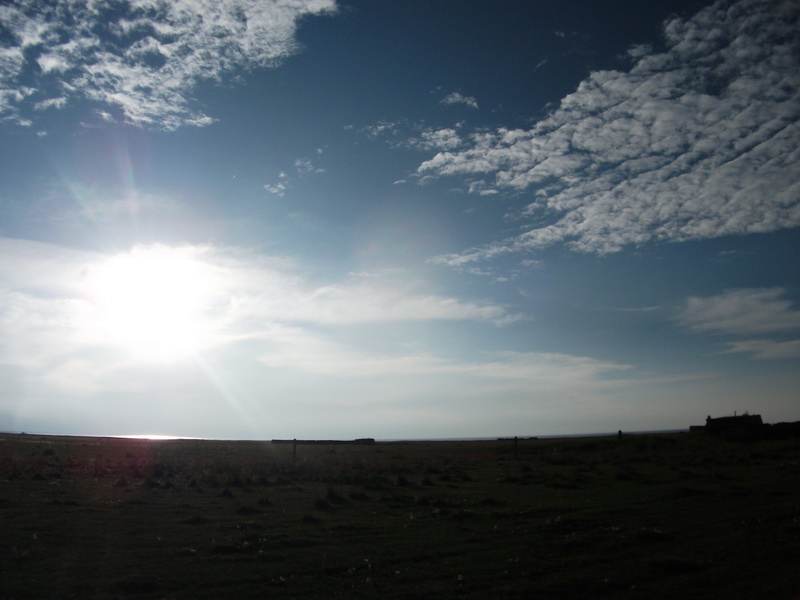 dscf0376.jpg