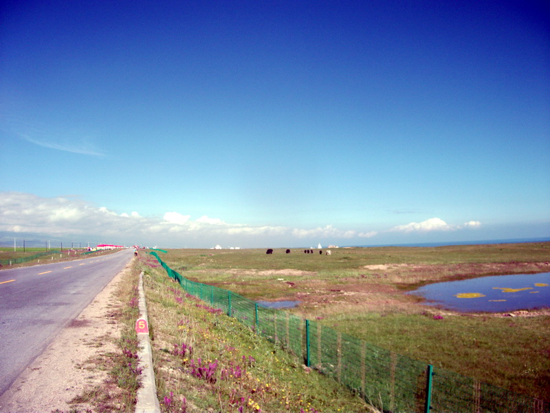 dscf0414.jpg