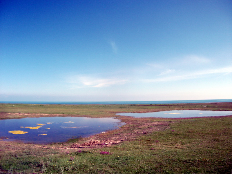 dscf0415.jpg