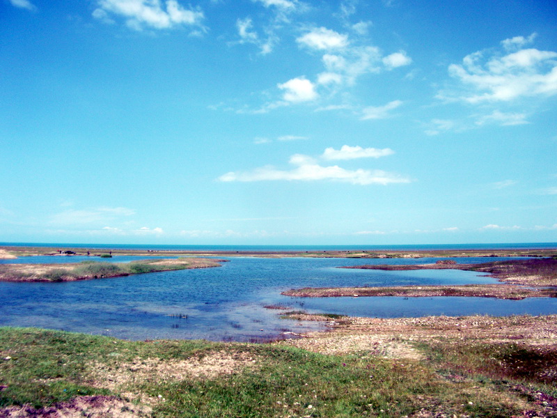 dscf0451.jpg