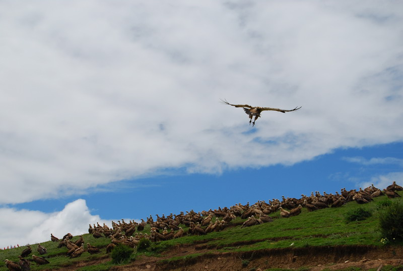 dsc_4244.jpg