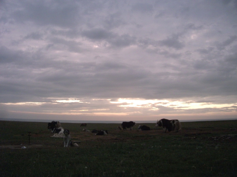 dscf0497.jpg