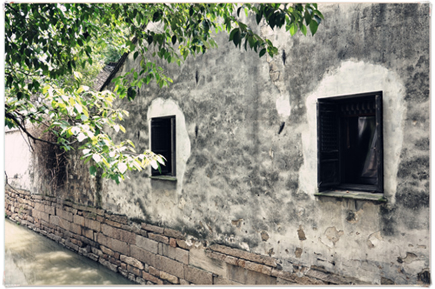 dsc_0162___.jpg