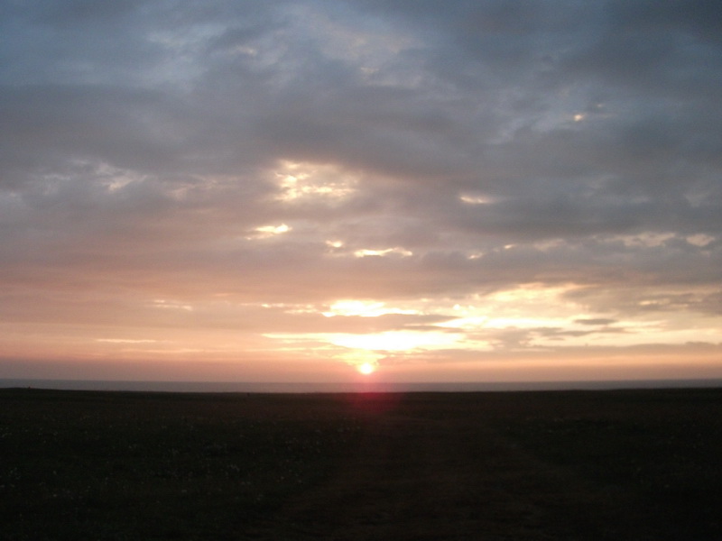 dscf0516.jpg
