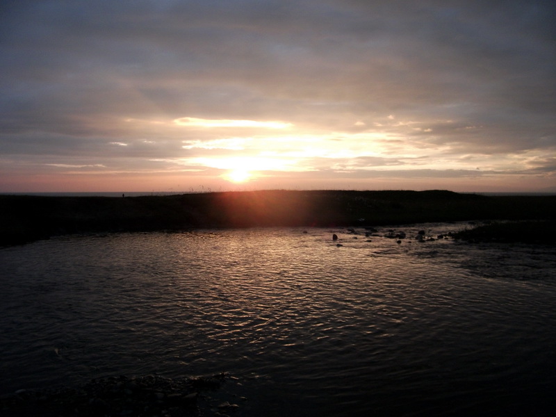 dscf0527.jpg