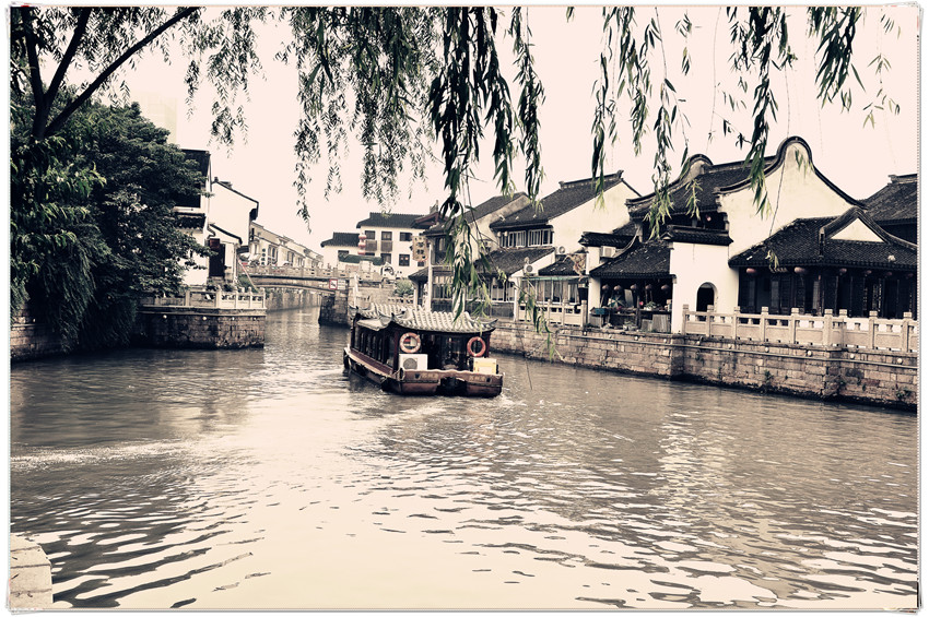 dsc_0198___.jpg