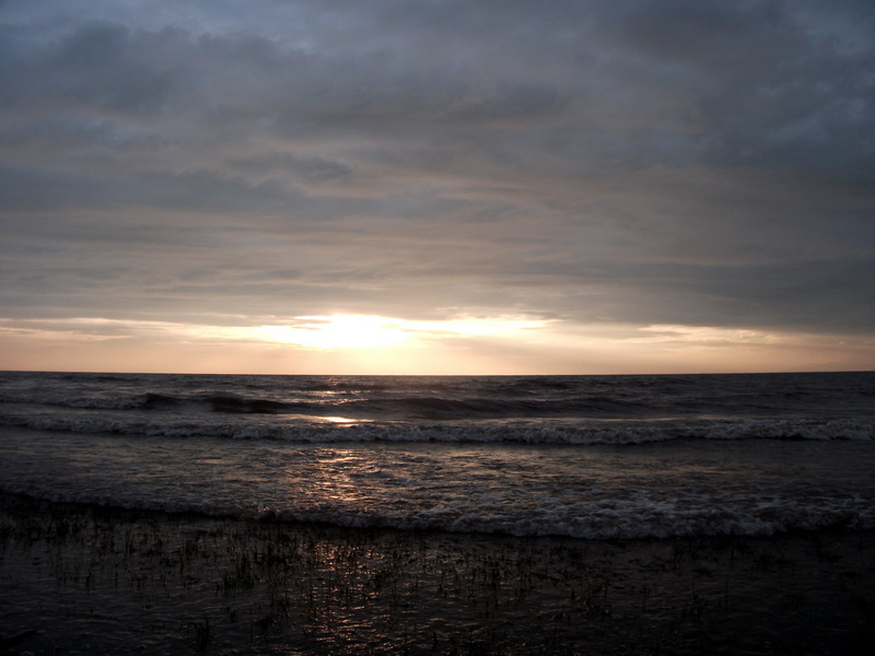 dscf0543.jpg